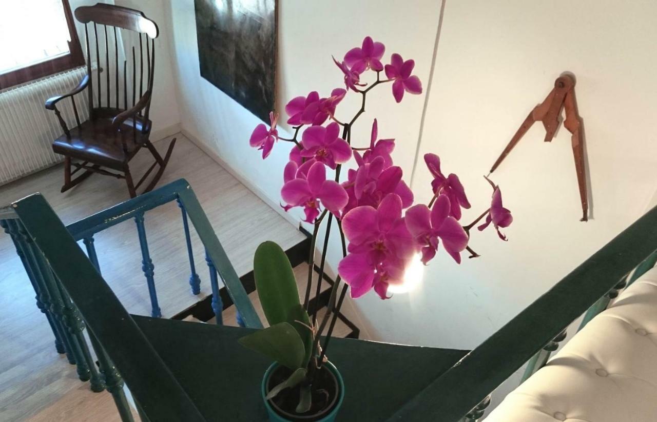 Mariangela Artist's -